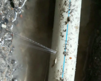 广水卫生间测漏水多少钱