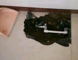 广水卫生间测漏水多少钱